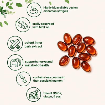 Noralife Ceylon Cinnamon 7200mg equivalent with MCT Oil